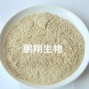供應(yīng)小麥蛋白粉廠家直銷(xiāo)