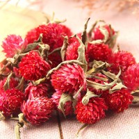 海泰散裝紅巧梅 紅巧梅妃子紅無(wú)沫紅巧梅裝飾品